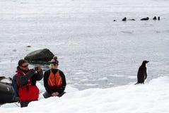 En man och en kvinna som håller ögonen på och tar ett fotografi av adeliae för en Adelie pingvinPygoscelis medan en grupp människ royaltyfria bilder En man och en kvinna som håller ögonen på och tar ett fotografi av adeliae för en Adelie pingvinPygoscelis medan en grupp människ royaltyfria bilder
