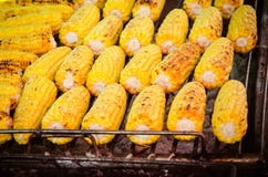 En närbild av grillade gula majskolvar royaltyfri foto En närbild av grillade gula majskolvar royaltyfri foto