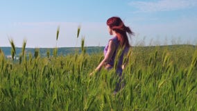 En rödhårig flicka i en purpurfärgad klänning promenerar en bana längs ett fält av grönt gräs och spikelets som svänger i vinden arkivfilmer En rödhårig flicka i en purpurfärgad klänning promenerar en bana längs ett fält av grönt gräs och spikelets som svänger i vinden arkivfilmer