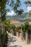 En smal brant gata med blommande oleander i Ravello Amalfi kust arkivbild En smal brant gata med blommande oleander i Ravello Amalfi kust arkivbild