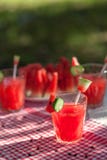 En uppfriskande drink gjorde med den nya vattenmelon och gurkan royaltyfria foton En uppfriskande drink gjorde med den nya vattenmelon och gurkan royaltyfria foton