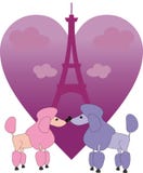 Enamoured Little Poodles In Paris Enamoured Little Poodles In Paris