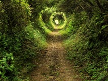 Enchanted tunnel path in the forest