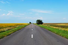 Endless road through a blooming meadow on a Sunny day stock photography Endless road through a blooming meadow on a Sunny day stock photography