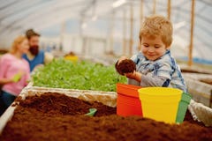 Enfant heureux workign heureux d'enfant avec le sol dans le jardin enfant heureux en serre chaude enfant heureux avec la famille image libre de droits Enfant heureux workign heureux d'enfant avec le sol dans le jardin enfant heureux en serre chaude enfant heureux avec la famille image libre de droits