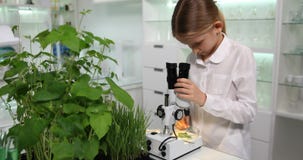 Enfant à l'aide du microscope dans le laboratoire de chimie d'école, étudiant étudiant, expériences 4K banque de vidéos Enfant à l'aide du microscope dans le laboratoire de chimie d'école, étudiant étudiant, expériences 4K banque de vidéos