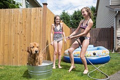 Enfants et jouer de chien images libres de droits Enfants et jouer de chien images libres de droits