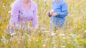 Enfants sélectionnant des fleurs sur un pré photos libres de droits Enfants sélectionnant des fleurs sur un pré photos libres de droits