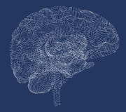 Enfermedades degenerativas del cerebro, Parkinson, sinapsis, neuronas, imagen de archivo libre de regalías Enfermedades degenerativas del cerebro, Parkinson, sinapsis, neuronas, imagen de archivo libre de regalías