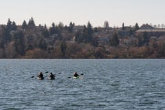 Enfileiramento em Greenlake foto de stock Enfileiramento em Greenlake foto de stock