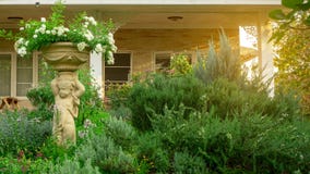 English cottage garden in backyard of a house, infomal landscape decorate with roses, rosemary herb, lavender, flower pots stock images English cottage garden in backyard of a house, infomal landscape decorate with roses, rosemary herb, lavender, flower pots stock images