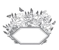 Engrave flowers vector frame sketch meadow design royalty free illustration Engrave flowers vector frame sketch meadow design royalty free illustration