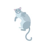 Enige grijze katten die op witte backgound liggen de mooie van het de zittingszoogdier van het pretspel katachtige binnenlandse p vector illustratie Enige grijze katten die op witte backgound liggen de mooie van het de zittingszoogdier van het pretspel katachtige binnenlandse p vector illustratie