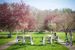 Enjoying Spring Activities At The Park Royalty Free Stock Photography Enjoying Spring Activities At The Park Royalty Free Stock Photography