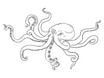 Enkel svart översiktsillustration för vektor - bläckfisk Löst undervattens- djur royaltyfri illustrationer Enkel svart översiktsillustration för vektor - bläckfisk Löst undervattens- djur royaltyfri illustrationer