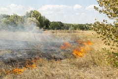 Enormes Waldverheerendes feuer wegen des heißen, trockenen und windigen Wetters stockfotos Enormes Waldverheerendes feuer wegen des heißen, trockenen und windigen Wetters stockfotos