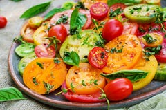 Ensalada coloreada del tomate con la cebolla y la albahaca Comida del vegano foto de archivo libre de regalías Ensalada coloreada del tomate con la cebolla y la albahaca Comida del vegano foto de archivo libre de regalías