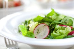 Ensalada del resorte imágenes de archivo libres de regalías Ensalada del resorte imágenes de archivo libres de regalías