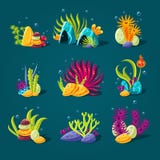 Ensemble d'algues de bande dessinée, éléments pour l'aquarium illustration stock Ensemble d'algues de bande dessinée, éléments pour l'aquarium illustration stock