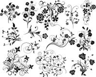 Ensemble d'éléments floraux pour la conception, illustration libre de droits Ensemble d'éléments floraux pour la conception, illustration libre de droits