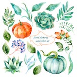 Ensemble d'éléments peints à la main de haute qualité d'aquarelle pour votre conception illustration libre de droits Ensemble d'éléments peints à la main de haute qualité d'aquarelle pour votre conception illustration libre de droits