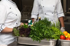 Ensemble de légumes frais et d'herbes sur une table en métal de restaurant images stock Ensemble de légumes frais et d'herbes sur une table en métal de restaurant images stock