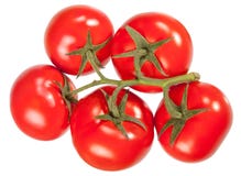 Ensemble de tomates rouges mûres et juteuses Il est isolé sur le dos de blanc Images stock Ensemble de tomates rouges mûres et juteuses Il est isolé sur le dos de blanc Images stock