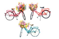 Ensemble de trois bicyclettes d'aquarelle avec des fleurs sur le fond blanc Images libres de droits Ensemble de trois bicyclettes d'aquarelle avec des fleurs sur le fond blanc Images libres de droits