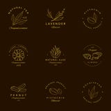 Ensemble de vecteur de calibres et d'emblèmes d'or de conception d'empaquetage Argan, aloès, arachide, amande, eucalyptus, thé, c illustration libre de droits Ensemble de vecteur de calibres et d'emblèmes d'or de conception d'empaquetage Argan, aloès, arachide, amande, eucalyptus, thé, c illustration libre de droits