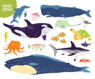 Ensemble de vecteur d'animaux marins mignons tirés par la main plats : baleine, dauphin, poisson, requin, méduse illustration stock Ensemble de vecteur d'animaux marins mignons tirés par la main plats : baleine, dauphin, poisson, requin, méduse illustration stock