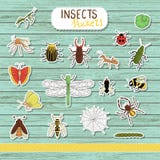 Ensemble de vecteur d'autocollants colorés d'insecte sur le fond en bois bleu illustration libre de droits Ensemble de vecteur d'autocollants colorés d'insecte sur le fond en bois bleu illustration libre de droits