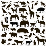 Ensemble de vecteur de silhouettes noires d'animaux et d'oiseaux illustration de vecteur Ensemble de vecteur de silhouettes noires d'animaux et d'oiseaux illustration de vecteur