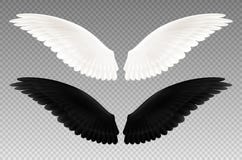 Ensemble transparent d'ailes noires et blanches illustration libre de droits Ensemble transparent d'ailes noires et blanches illustration libre de droits
