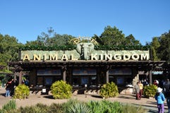 Disney Animal Kingdom Stock Images - Download 898 Royalty Free Photos