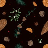 Entregue o teste padrão sem emenda tirado com partes de plantas do Natal no fundo preto - visco, ramos de árvores coníferas ilustração stock Entregue o teste padrão sem emenda tirado com partes de plantas do Natal no fundo preto - visco, ramos de árvores coníferas ilustração stock