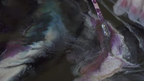 Epoxy ?ywicy obraz zbiory wideo Epoxy ?ywicy obraz zbiory wideo