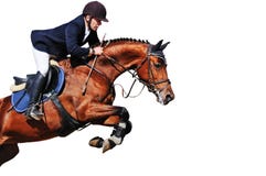 Equestrian: jinete con el caballo de bahía en la demostración de salto, aislada fotografía de archivo Equestrian: jinete con el caballo de bahía en la demostración de salto, aislada fotografía de archivo