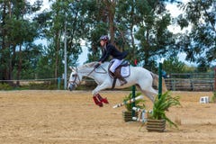 Equestrianism w Portugalskiej natura konia rezerwie zdjęcie royalty free Equestrianism w Portugalskiej natura konia rezerwie zdjęcie royalty free