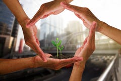 Equipe as mãos do ` s em torno dos brotos verdes novos isolados no fundo borrado da cidade com luz solar macia fotografia de stock Equipe as mãos do ` s em torno dos brotos verdes novos isolados no fundo borrado da cidade com luz solar macia fotografia de stock