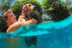 Equipe realizar nas mãos labrador retriever dourado na piscina imagens de stock Equipe realizar nas mãos labrador retriever dourado na piscina imagens de stock