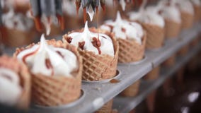 Equipo moderno en la fábrica de la comida Transportador automático, cadena de producción de los conos de helado Equipo moderno en la fábrica de la comida Transportador automático, cadena de producción de los conos de helado