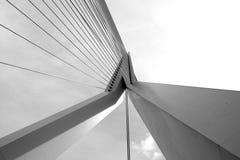 Erasmus Bridge fotografia stock libera da diritti Erasmus Bridge fotografia stock libera da diritti
