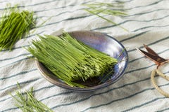 Erba organica verde cruda del grano fotografia stock libera da diritti Erba organica verde cruda del grano fotografia stock libera da diritti