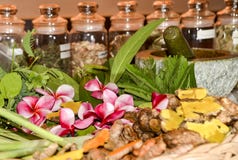 Erbe e radici di Ayurveda per il trattamento 2018 fotografia stock libera da diritti Erbe e radici di Ayurveda per il trattamento 2018 fotografia stock libera da diritti