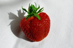 Erdbeerbeere auf einer weißen Hintergrundnahaufnahme stockbilder Erdbeerbeere auf einer weißen Hintergrundnahaufnahme stockbilder