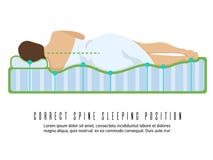 Ergonomische orthopedische matras vectorillustratie De correcte positie van de stekelslaap vector illustratie Ergonomische orthopedische matras vectorillustratie De correcte positie van de stekelslaap vector illustratie