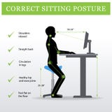 ergonomiskt Sadelsammanträdestol och justerbar tabell för höjd vektor illustrationer ergonomiskt Sadelsammanträdestol och justerbar tabell för höjd vektor illustrationer