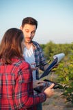 Ernster junger Mann und weibliche Agronomen oder Landwirte, die in einem Fruchtobstgarten arbeiten Frau benutzt eine Tablette, de lizenzfreie stockfotografie Ernster junger Mann und weibliche Agronomen oder Landwirte, die in einem Fruchtobstgarten arbeiten Frau benutzt eine Tablette, de lizenzfreie stockfotografie