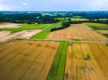 Ernten von Mais auf den von der Luftdraufsichtgebieten des Herbstes stockbild Ernten von Mais auf den von der Luftdraufsichtgebieten des Herbstes stockbild