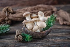 Eryngii de pleurotus de champignons d'huître de roi sur le fond en bois Type rustique images stock Eryngii de pleurotus de champignons d'huître de roi sur le fond en bois Type rustique images stock